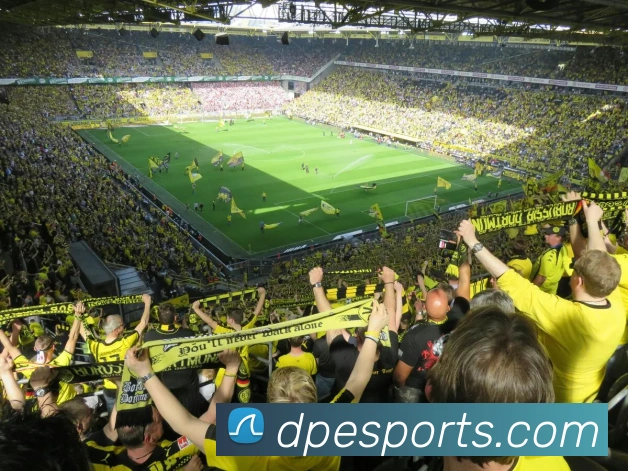 体育下注品牌故事